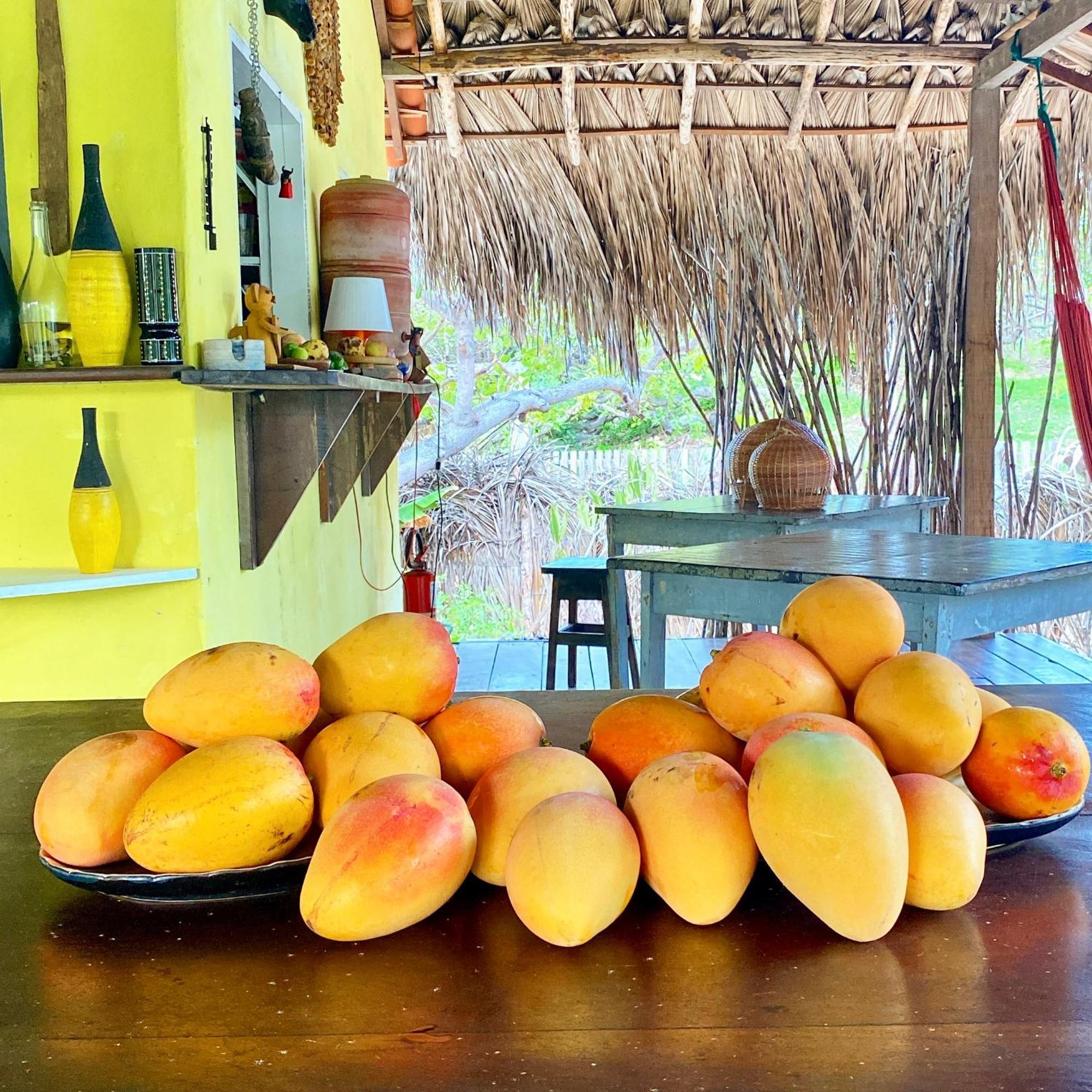 فندق Casa Acquamarina أتينز المظهر الخارجي الصورة