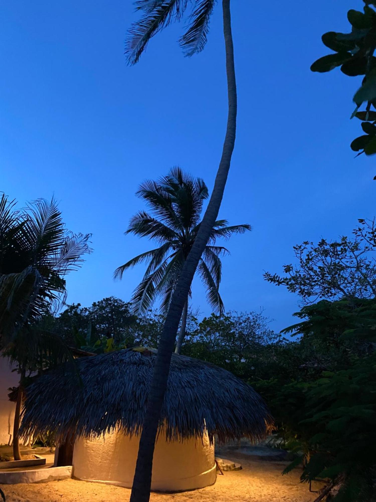 فندق Casa Acquamarina أتينز المظهر الخارجي الصورة