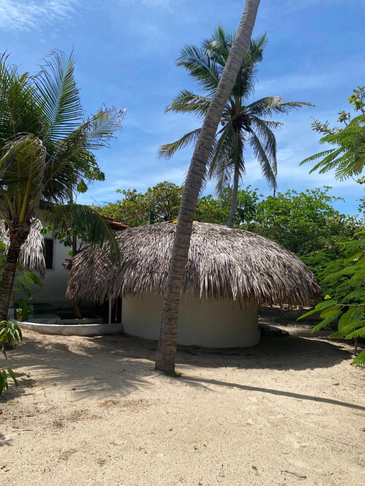 فندق Casa Acquamarina أتينز المظهر الخارجي الصورة
